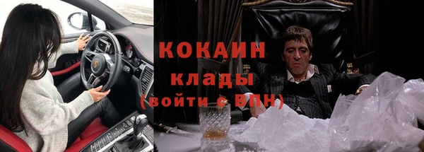 бошки Ельня