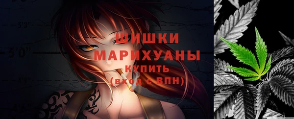 бошки Ельня